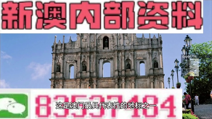 澳门天空正版资料查询|智能解答解释落实_进修版.1.437